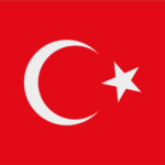 Gold and grey home and key line art logo design (2)